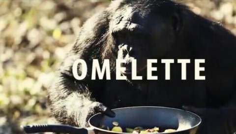 This monkey makes omelet for himself by raising fire