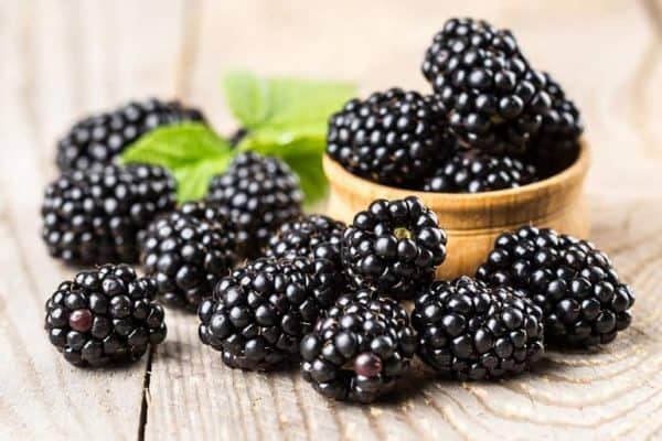 Know the benefits of eating blackberry