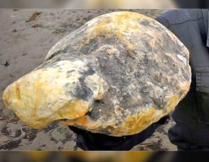 This little looking stone can make you a millionaire, know how?